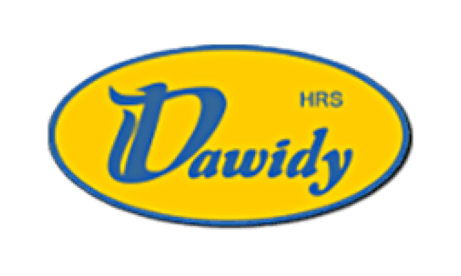 Logo Dawidy